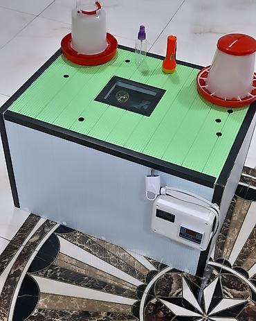 Kənd təssərüfatı avadanlığı: Azərbaycanda inkubator Aparatlarinin Rəsmi satiş mərkəzi Rasif — 3