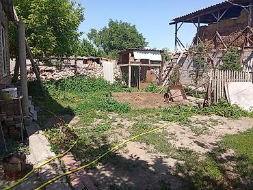 Долгосрочная аренда домов: Продам одноэтажный дом. Характеристики и планировка: - Просторная — 8
