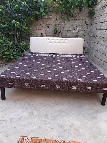 Kravat
Taza