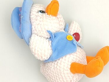 czapki z wełny czesankowej: Mascot Goose, condition - Perfect