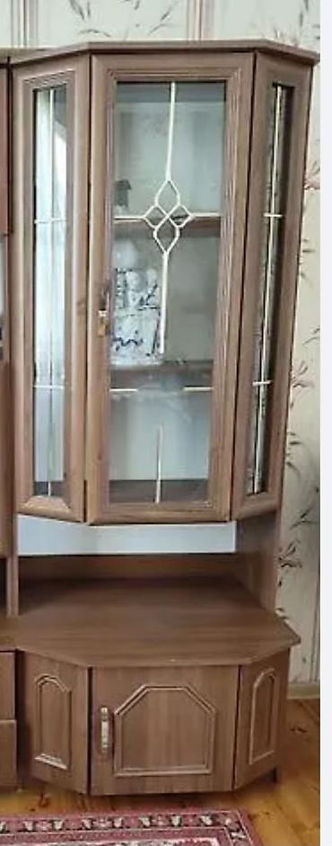 kamontlar: Qonaq otağı üçün tək skaf və paltar uçun suyurməli tumbuçka ikisi bir — 2