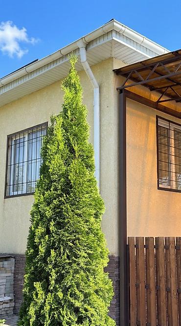 Продажа дачи: 🏡 ЭКСКЛЮЗИВНАЯ ДАЧА В АРАШАНЕ — ПЕРВАЯ ЛИНИЯ РЕКИ! 🌿⛰️ 📍 Село Арашан — 23