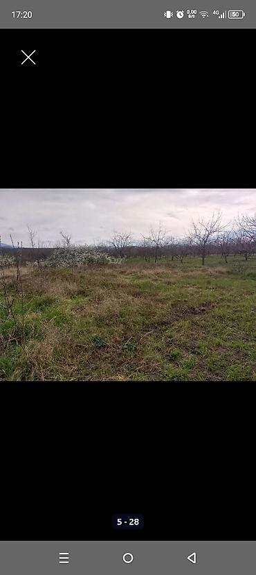 Torpaq sahələrinin satışı: Kənd təsərrüfatı — 4