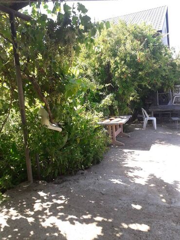 Həyət evləri və villaların satışı: Albalı 4 otaqlı, 90 kv. m, Orta təmir — 7