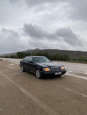 Транспорт: Mercedes-Benz C-Class: 1992 г., 3.2 л, Механика, Дизель — 2