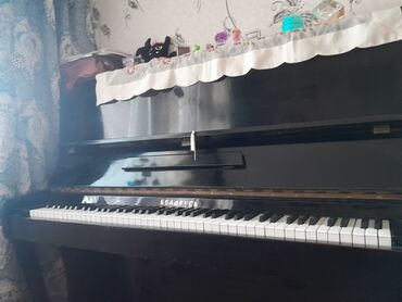 Digər: Pionina 1aydi alinib 70 azn satilir
