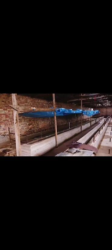 Продажа участков: 45 соток, Для бизнеса, Тех паспорт, Красная книга — 4