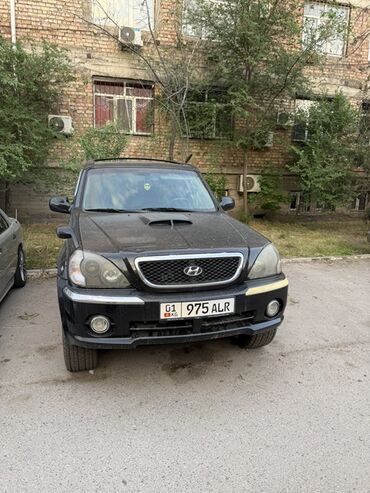 Hyundai: Hyundai Terracan: 2003 г., 2.9 л, Автомат, Дизель, Внедорожник