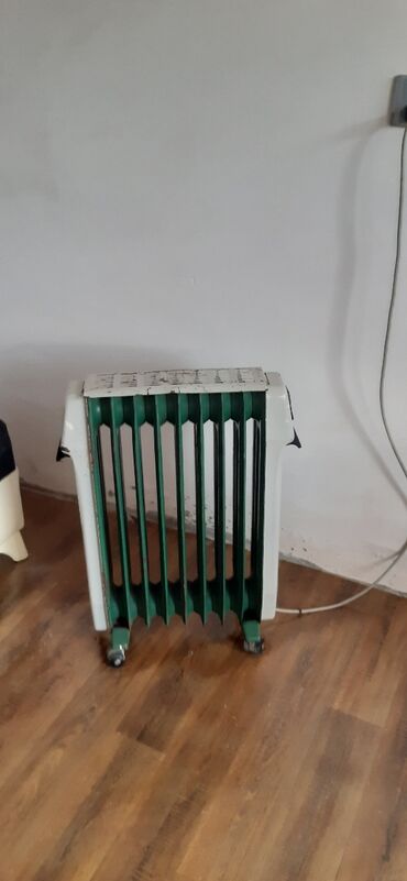 Ev və bağ: Elektrik soba radiator