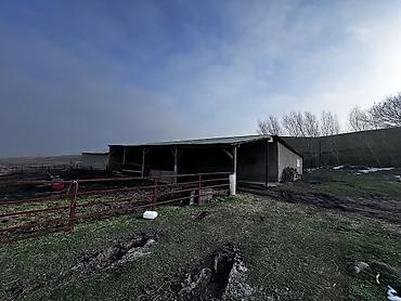 Продажа коттеджей и домов: Срочно продается дом +большой участок Адрес: Беловодский село Бала at lalafo.kg — 14 Продажа коттеджей и домов: Срочно продается дом +большой участок Адрес: Беловодский село Бала — 14