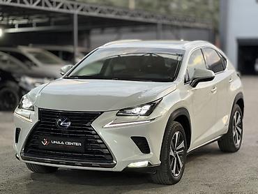 Lexus NX: 2019 г., 2.5 л, Гибрид, Кроссовер lalafo.kg да — 3 Lexus NX: 2019 г., 2.5 л, Гибрид, Кроссовер — 3