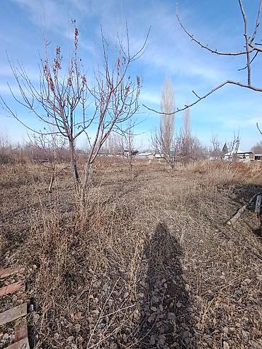 Продажа коттеджей и домов: 📌В селе Беловодское продается 2 дома на участке 26 соток. ▪️На — 16