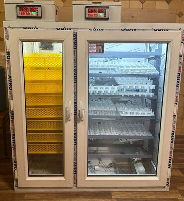 Biznes üçün program təminatı: İnkubator və çıxım şkafı kombini - İki bölməli sistem: solda sarı