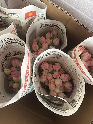 Букеты из живых цветов: Тюльпаны срезанные и на луковице - Сорта и окраски: белые, розовые — 3