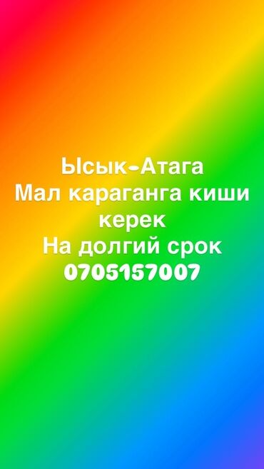 работа оператором на дому с ежедневной оплатой: Требуется Пастух, Оплата Ежемесячно