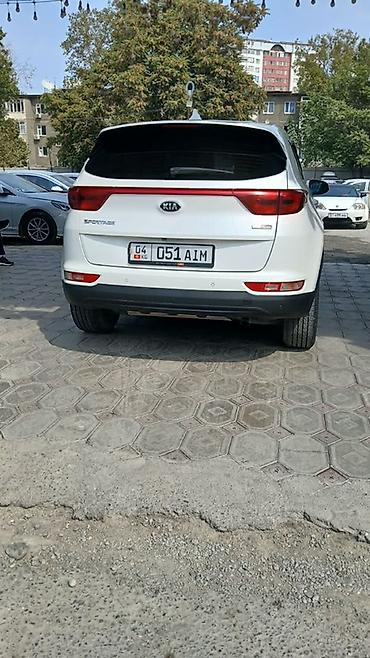 киа спортадж: Kia Sportage: 2019 г., 2 л, Автомат, Бензин, Кроссовер — 2
