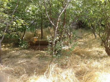 Həyət evləri və villaların satışı: 7 otaqlı, 150 kv. m, Kredit yoxdur, Orta təmir — 21