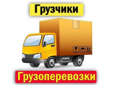 дебют офисная мебель: Porter, Көчүү, эмеректерди көчүрүү, Шаар ичинде, жүк ташуучу жумушчусу менен