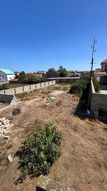 9 sot, Tikinti, Mülkiyyətçi, Kupça (Çıxarış)