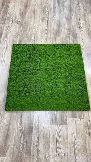 Digər ev dekoru: 10 man baslayan qiymetlerr — 9