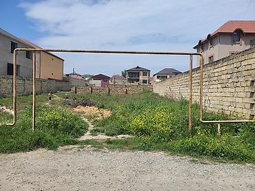 mahrasa bagi gence: 6 sot, Kənd təsərrüfatı, Mülkiyyətçi, Bələdiyyə — 2