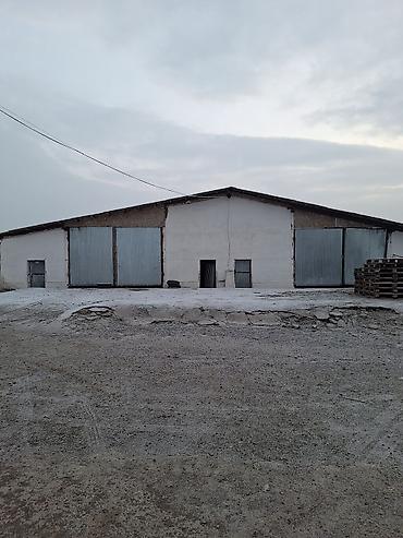 Продажа сельхоз предприятий: Продам большую ферму,расположеную в Сокулукском районе,возле — 6
