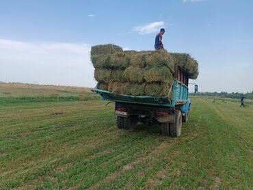 зил транспорт: Жүк ташуучу унаа, ZIL, Стандарт, 7 т, Колдонулган