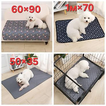 Зоотовары: ПРОДАЮ ПАРОВЫЕ МАШИНКИ ДЛЯ ВЫЧЕСЫВАНИЯ КОШЕК И СОБАК,А ТАК ЖЕ — 19