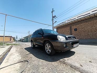 small car: Hyundai Santa Fe: 2003 г., 2 л, Механика, Дизель, Кроссовер — 8