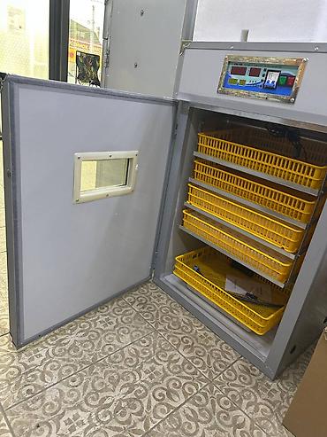 Товары и оборудование для с/х животных: Инкубатор Промышленный 352 жумуртка полынй автомат . Инкубатор 1056 — 6