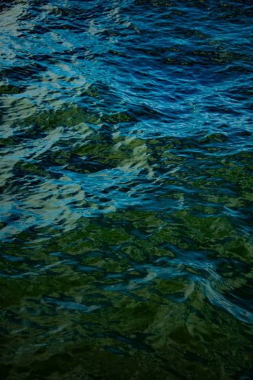 Фотоаппараты: Nikon D3300 + два объектива, 18-55 и 18-105 мм. Домашнее — 8