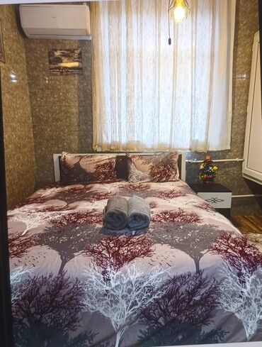 Günlük kirayə mənzillər: 1 otaqlı — 13