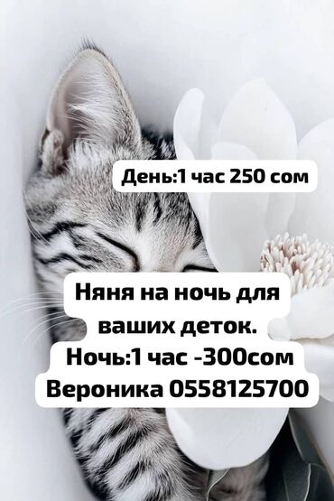 няня работа бишкек: Бала бакчалар, бала багуучулар