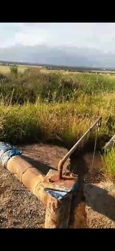 Torpaq sahələrinin satışı: 5000 sot, Kənd təsərrüfatı, Mülkiyyətçi, Kupça (Çıxarış) — 4