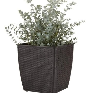 Vaze i saksije: Saksija, bоја - Šareno, Novo — 7