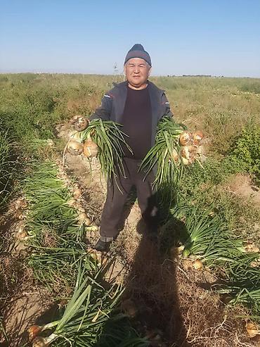 Удобрения и садовая химия: Удобрение Самовывоз — 4