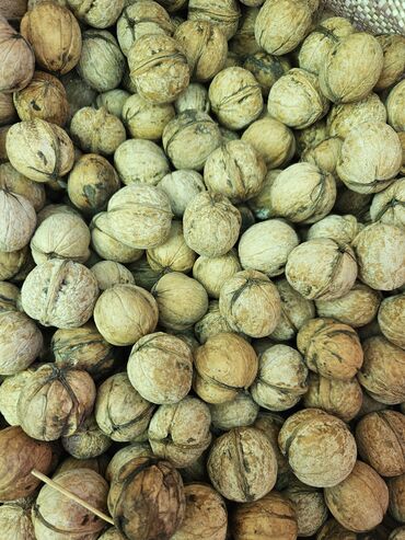 орех китайский: Продаю Грецкие орехи, Домашний урожай. 1 кг- 90 сом. В наличии 3 мешка
