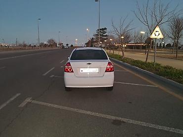 teker satsi: Chevrolet Aveo sedan – ağ rəng, 4 qapı, 5 yerlik şəhər avtomobili — 3