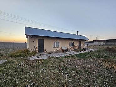 сары булун: Ижарага Ферма, 90 баш, 30 соток, Электр энергиясы, Ысык суу — 5
