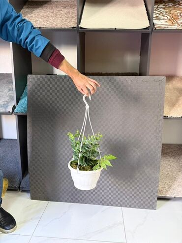 Otaq bitkiləri: Asma saksıda dekorativ yaşıl bitki - Ağ rəngli asma plastik saksı -da lalafo.az — 33 Otaq bitkiləri: Asma saksıda dekorativ yaşıl bitki - Ağ rəngli asma plastik saksı — 33