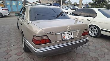 дерево мерс 124: Mercedes-Benz W124: 1994 г., Седан — 7