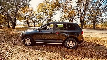 рекстон авто: Volkswagen Touareg: 2003 г., 3.2 л, Автомат, Бензин, Кроссовер — 3