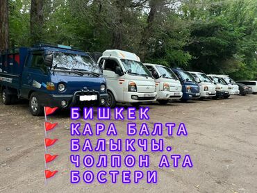 кафе для банкета: Администратор