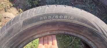 шины 265: Летняя шина 205/60 R16. Характеристики: - Размер: 205/60 R16 - Тип