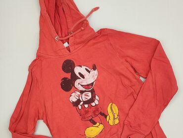 Women`s hoodie, size S (EU 36)