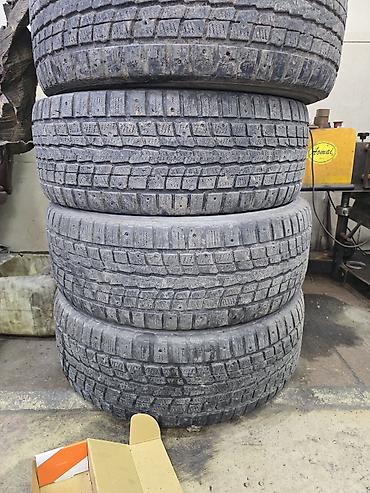 шипы для шин: Зимние шины Dunlop Grandtrek (шипуемые), комплект из 4 шт. цена за — 1