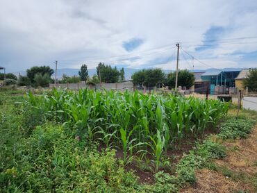 Продажа участков: 15 соток, Для строительства, Красная книга — 10