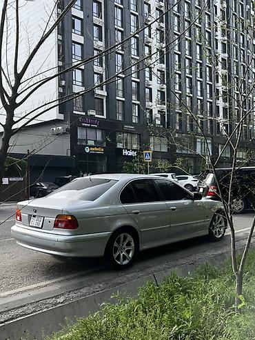 оптика е39: BMW 5 series: 2003 г., 2.5 л, Автомат, Бензин, Седан — 7
