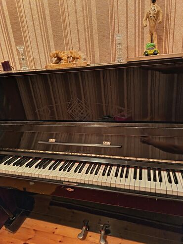 Pianolar: Piano, Akustik — 2