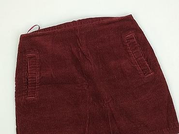 New Look Petite, Spódnica damska, rozmiar S